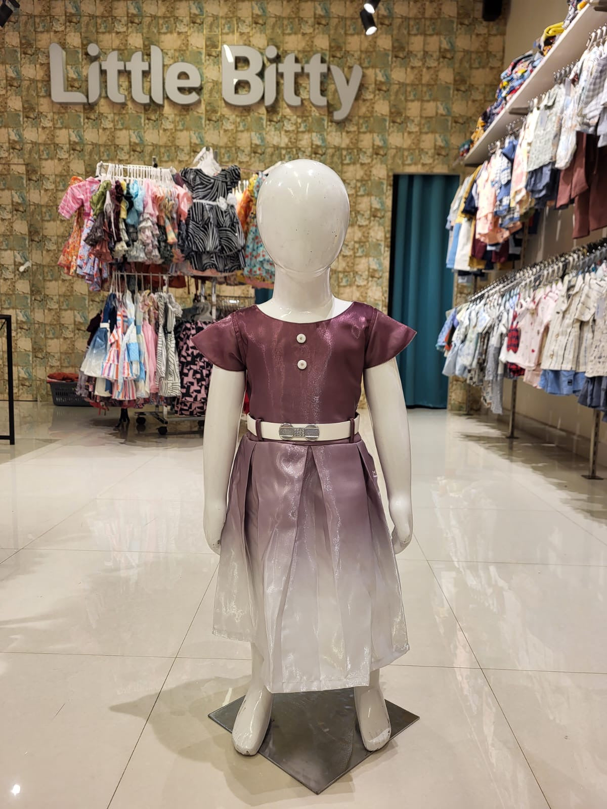 Elegant Ombre Shine Frock